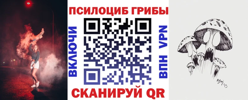 Псилоцибиновые грибы мухоморы  продажа наркотиков  hydra зеркало  Зеленогорск 