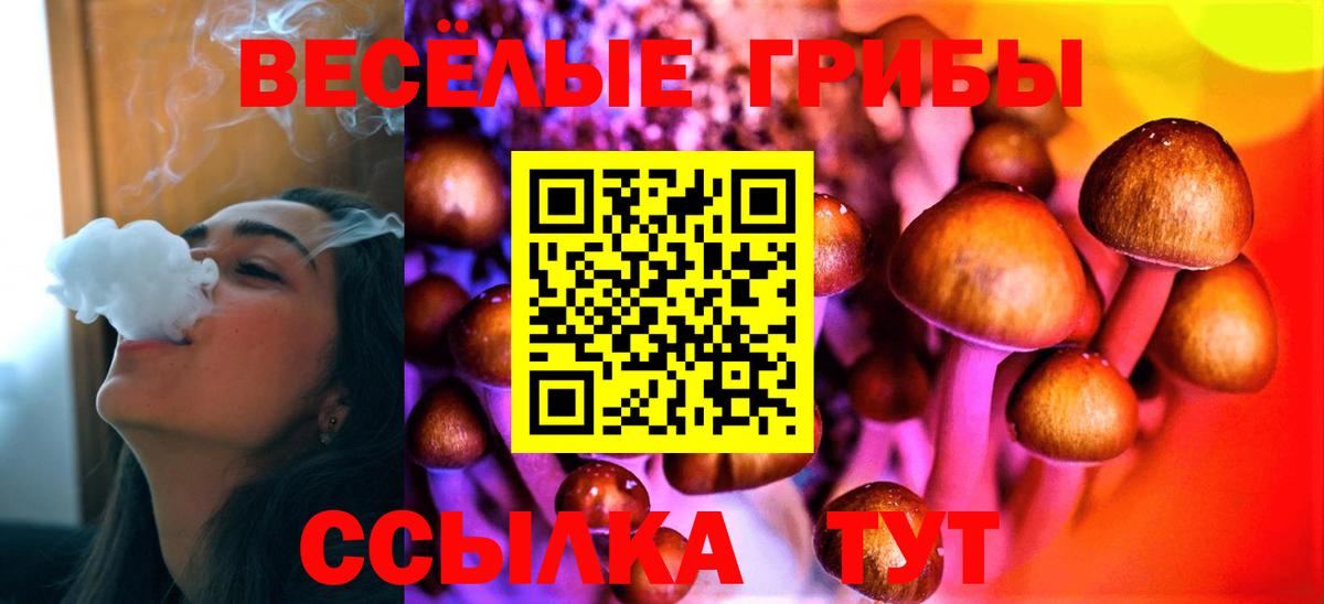 где найти наркотики  Вход с VPN  Галлюциногенные грибы MAGIC MUSHROOMS  Зеленогорск  Псилоцибиновые грибы Magic Shrooms 